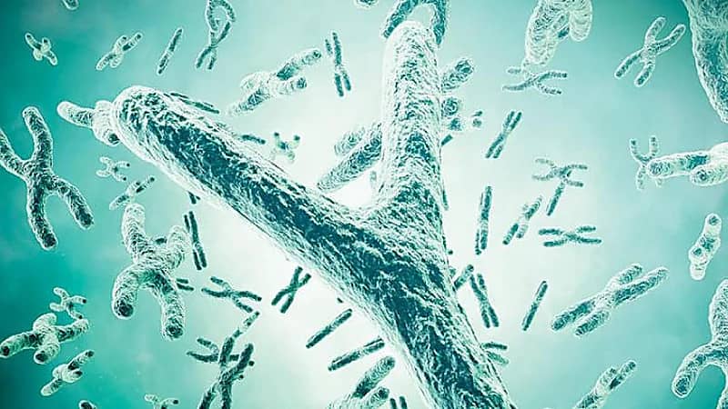 دراسة تحذر من اختفاء الكروموسوم الذكري واختفاء الرجال قريبًا