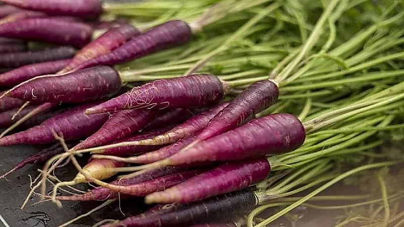 5 أطعمة يجب إدراجها ضمن نظامك الغذائي اليومية