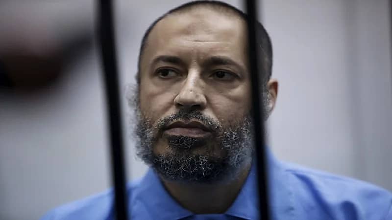 نجل القذافي يطير إلى تركيا بعد الإفراج عنه
