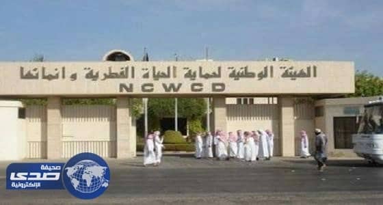 هيئة الحياة الفطرية تعلن عن وظائف شاغرة