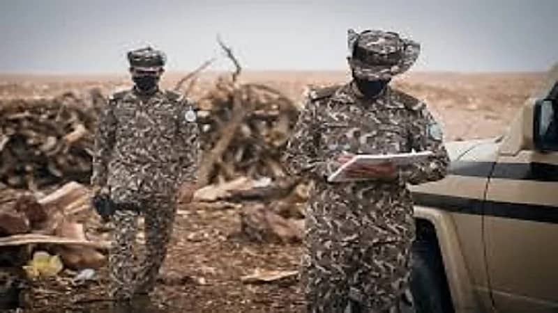 ضبط مواطنًا مخالفًا لنظام البيئة لاقتلاعه الأشجار دون ترخيص