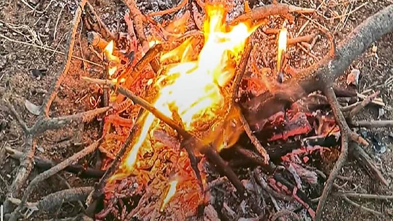 ضبط 21 مخالفًا لنظام البيئة في عدد من المناطق .. فيديو