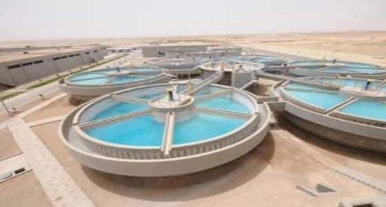 محافظ ينبع يناقش مقترح بإنشاء منتزه بري يسقى من المياه المعالجة