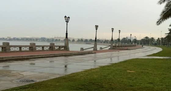 هطول أمطار رعدية ورياح مثيرة للأتربة على الرياض والشرقية