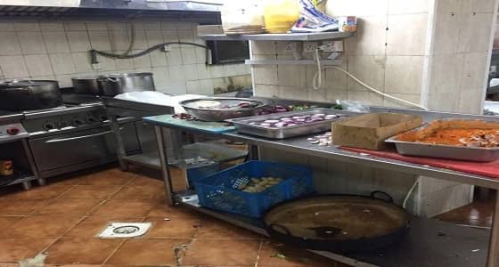 ضبط مطبخا عشوائيا وإتلاف 500 كيلو لحوم بأجياد الفرعية