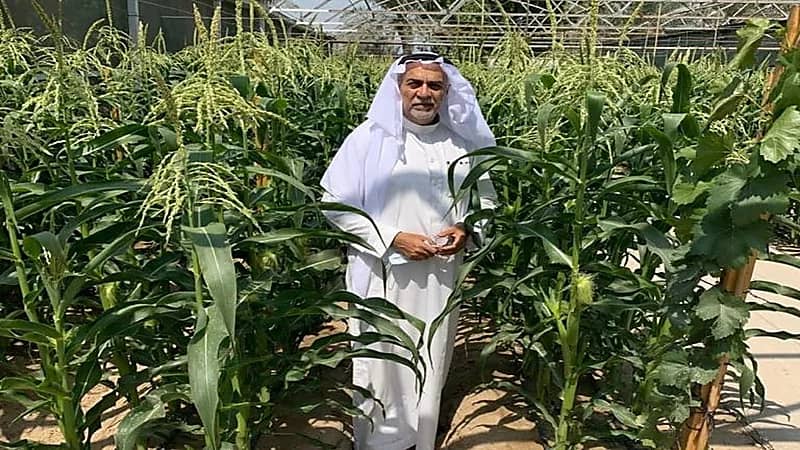 مواطن يزرع النخيل والأشجار النادرة عن طريق الأنسجة