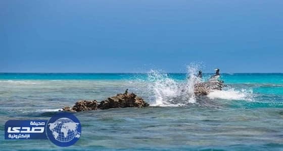 بلومبيرج: مشروع البحر الأحمر طفرة حقيقية على تنويع مصادر الدخل