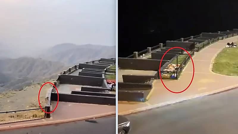 القرود تباغت مصيفين أثناء نومهم في أبها .. فيديو