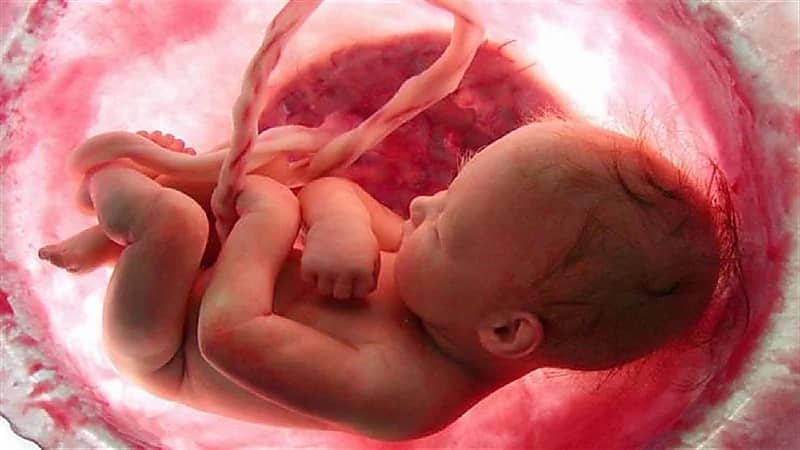 حالة نادرة.. اكتشاف جنين داخل بطن رضيع عمره ٤٠ يوم