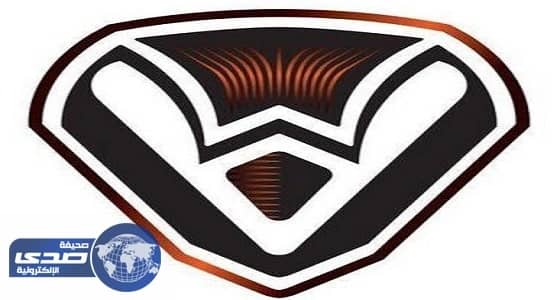 الإساءات الإعلامية تسقط رئيس الصفا من منصبه