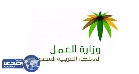 العمل: معاقبة المدارس المتلاعبة بالرواتب دون الإفصاح عن هوية المتقدمين بالشكوى