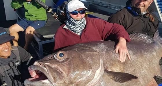 سيدة تصطاد سمكة بحجم الأريكة