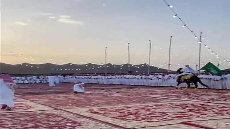 تسجيل أطول صف دحية بفعاليات جادة الإبل في ‎تبوك.. فيديو