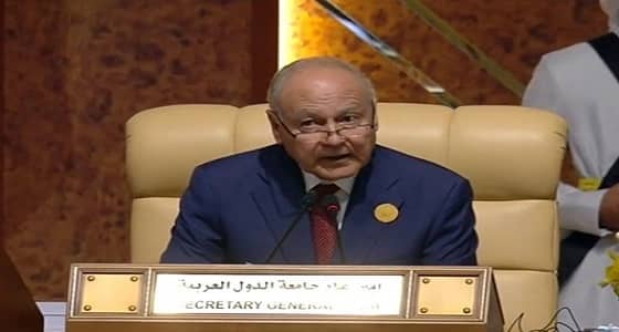 أبو الغيط: يجب علينا التضامن مع السعودية في إجراءاتها لصون أمنها