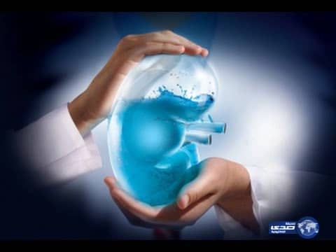 رجل يرمي زوجته من مركبة خلال سيرها بسرعة كبيرة