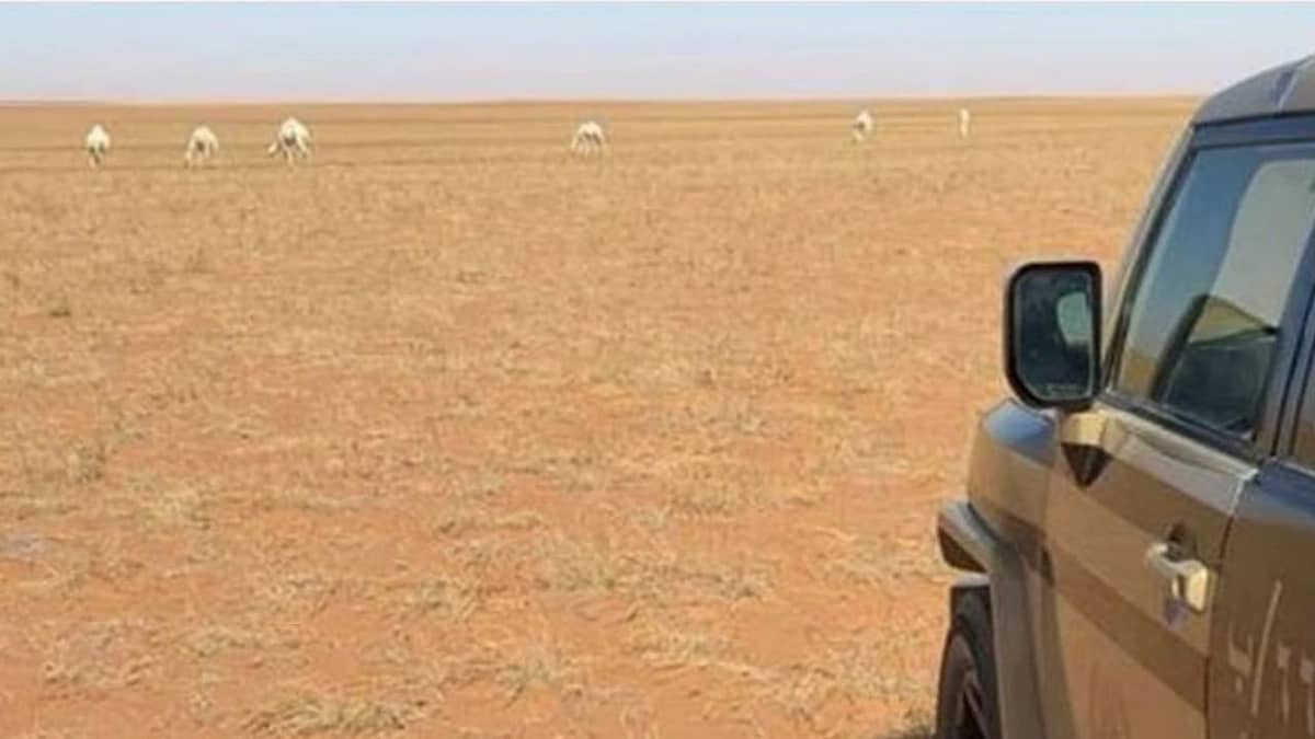 WhatsApp Image 2026-02-06 at 3.28.12 PM.jpeg