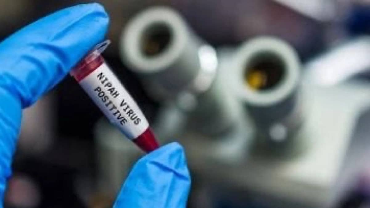 WhatsApp Image 2026-02-04 at 5.02.47 PM.jpeg