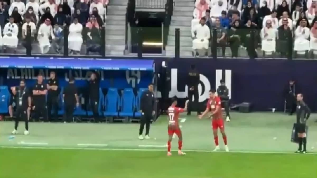 WhatsApp Image 2026-02-13 at 8.15.46 PM.jpeg