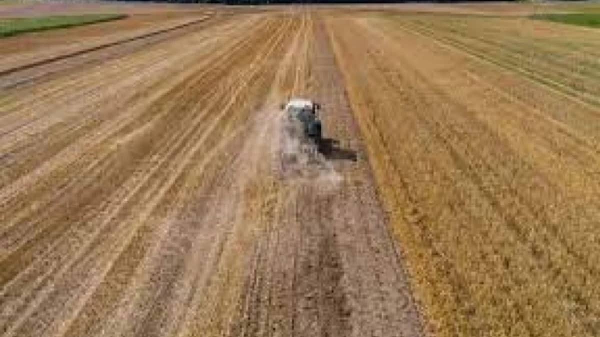 WhatsApp Image 2026-02-02 at 9.39.32 PM.jpeg