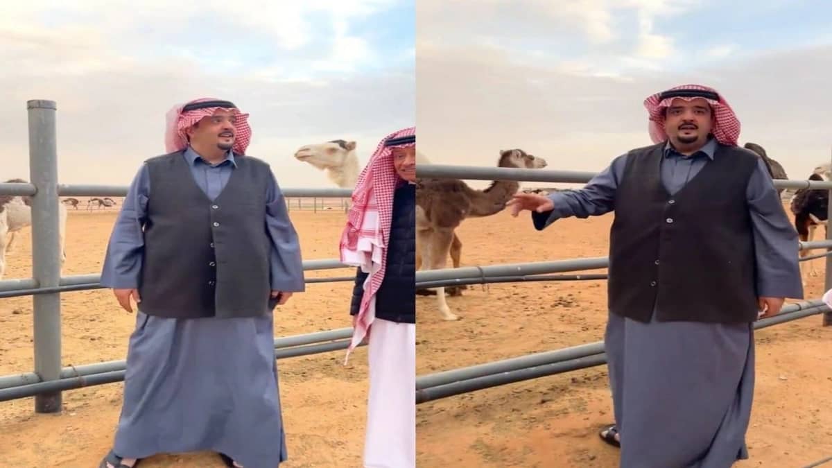 WhatsApp Image 2026-02-07 at 12.09.34 PM.jpeg