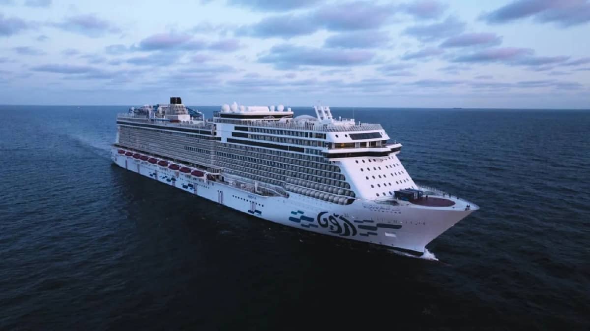 WhatsApp Image 2026-02-13 at 7.33.30 PM (3).jpeg