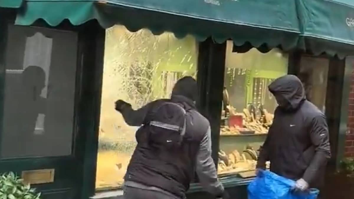 WhatsApp Image 2026-02-01 at 8.13.00 PM.jpeg