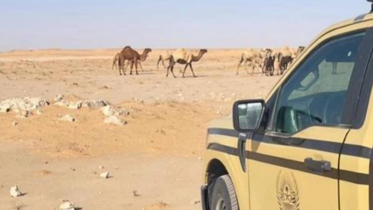 WhatsApp Image 2026-02-14 at 2.28.16 PM.jpeg