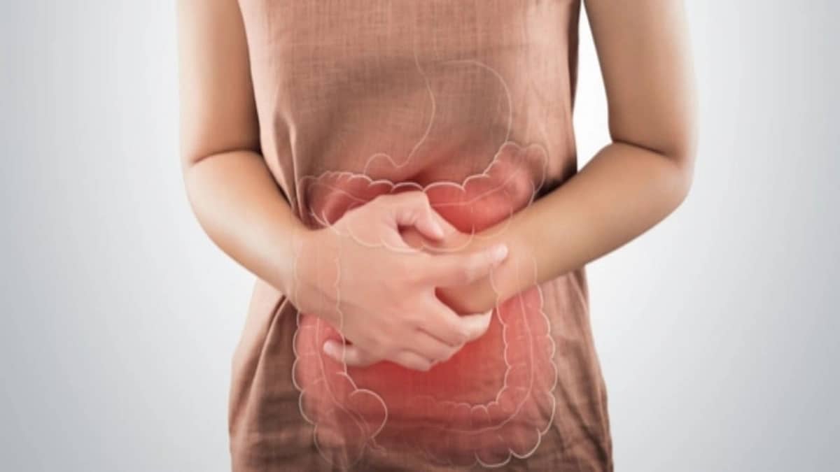 WhatsApp Image 2026-02-14 at 7.49.39 AM.jpeg