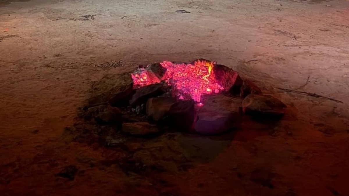 WhatsApp Image 2026-02-06 at 5.05.10 PM.jpeg