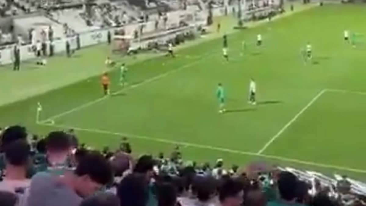 WhatsApp Image 2026-02-13 at 6.08.12 PM.jpeg