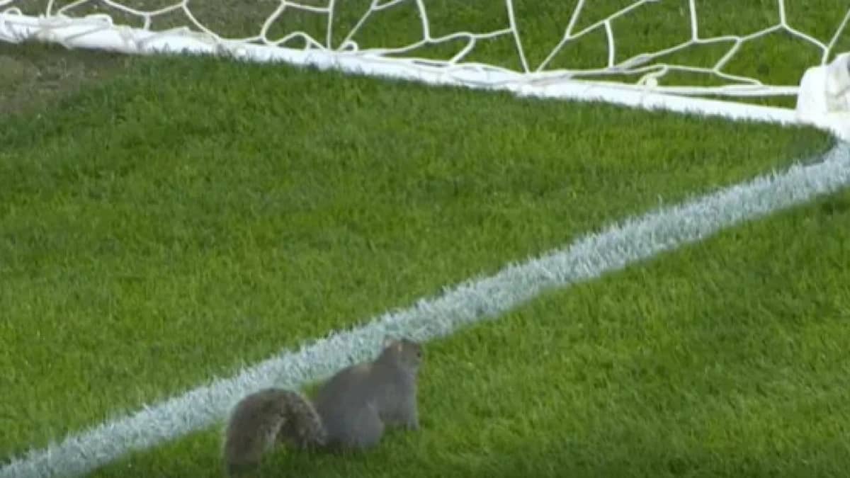 WhatsApp Image 2026-02-08 at 7.40.07 PM.jpeg