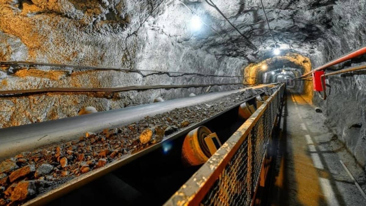 WhatsApp Image 2026-02-14 at 12.37.12 PM.jpeg