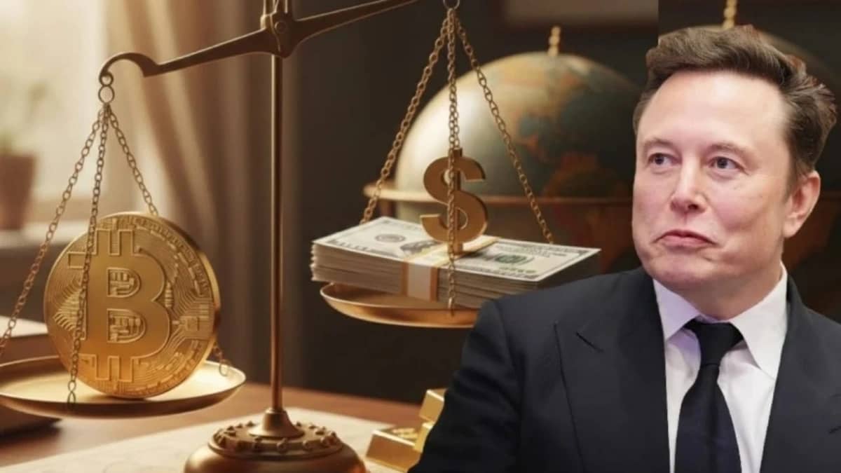 WhatsApp Image 2026-02-11 at 8.42.47 PM.jpeg