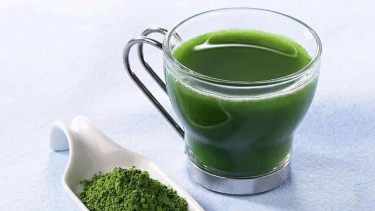 WhatsApp Image 2026-02-04 at 9.20.18 PM.jpeg