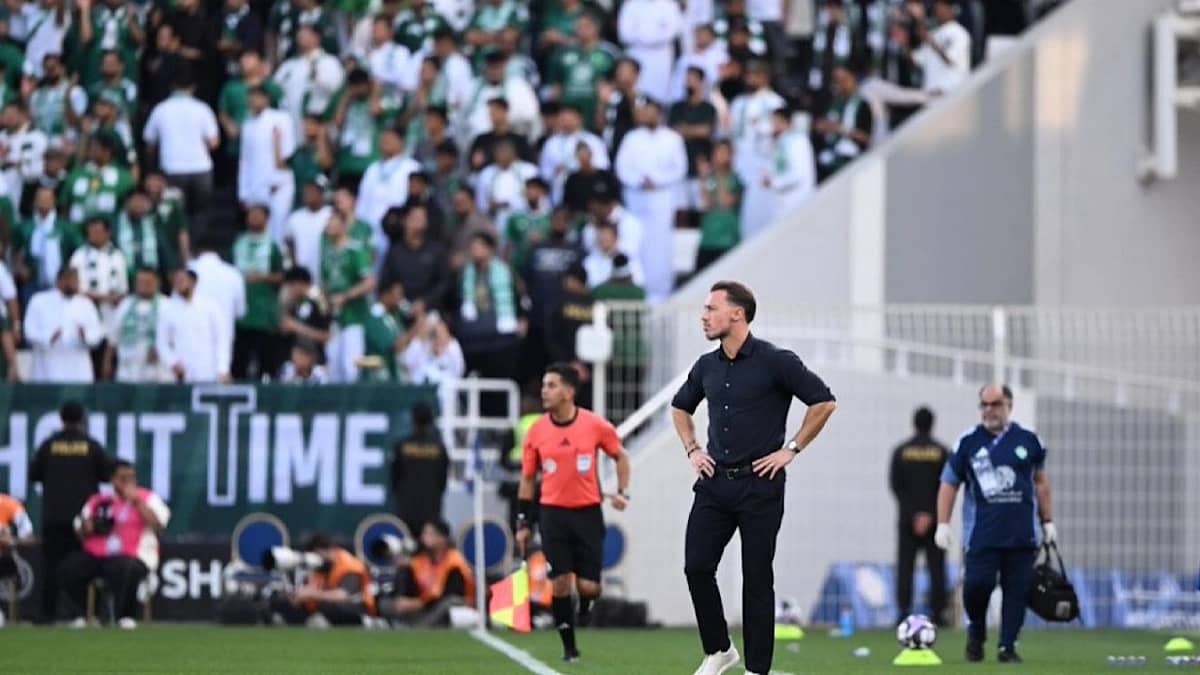 WhatsApp Image 2026-02-13 at 8.03.14 PM.jpeg