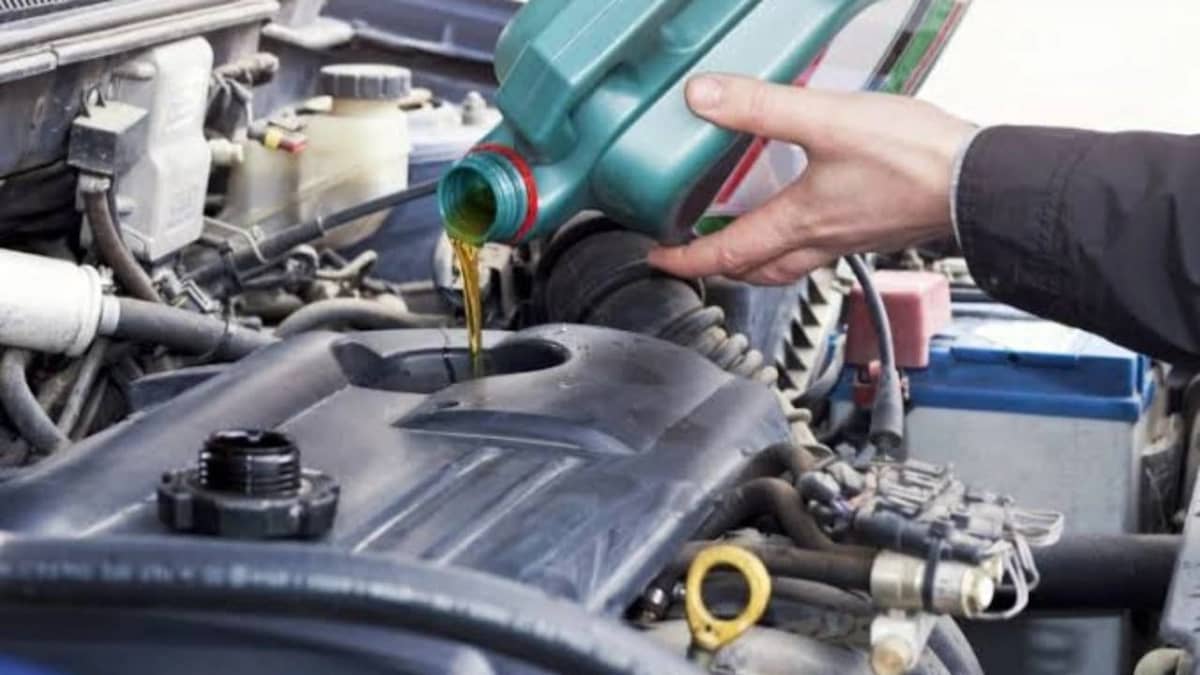 WhatsApp Image 2026-02-14 at 2.52.33 PM.jpeg