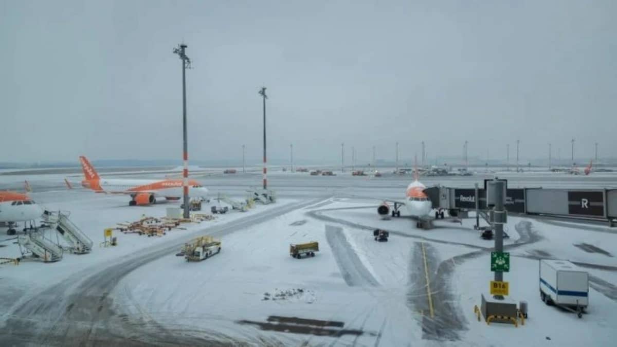 WhatsApp Image 2026-02-07 at 8.13.31 AM (2).jpeg