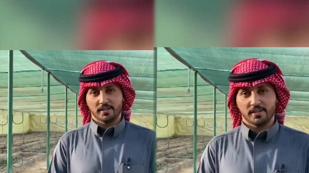 WhatsApp Image 2026-02-11 at 10.34.13 PM.jpeg