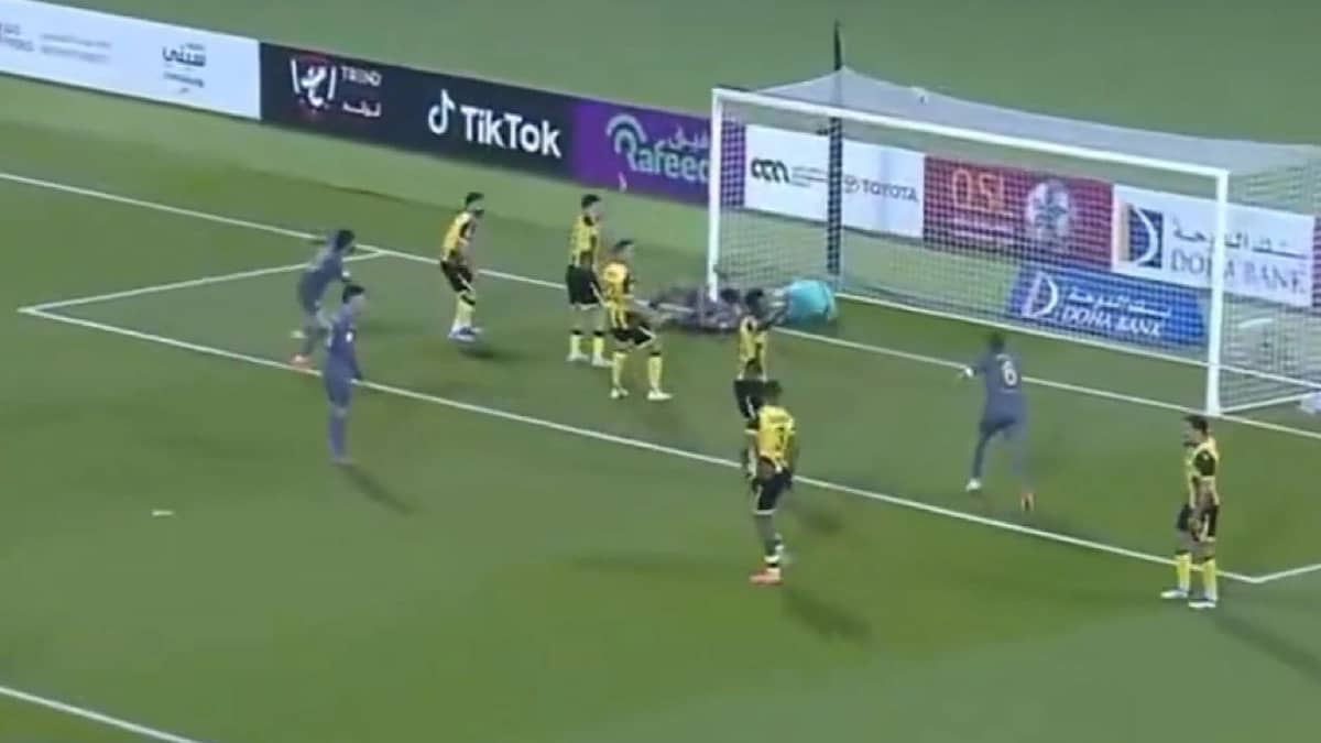 WhatsApp Image 2026-02-06 at 9.11.49 PM.jpeg