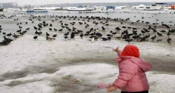 بالصور: في حالة نادرة ..تجمد أكبر أنهار أوروبا