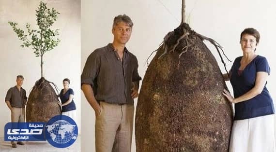 بالصور.. أختراع مدافن تحول رفات الموتى لأشجار
