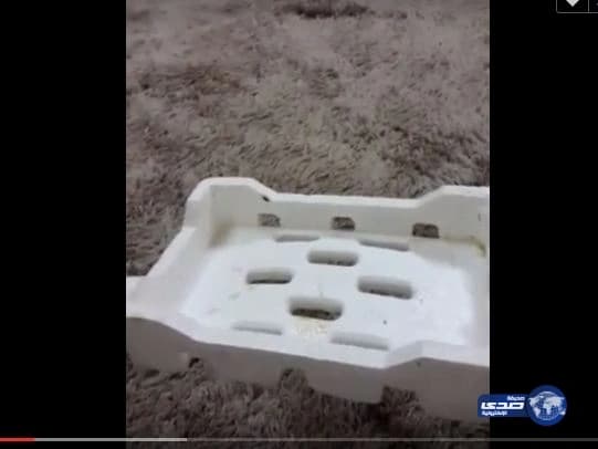 بالفيديو.. أحدث حيل بائعي التمور للنصب على زبائنهم في وادي الدواسر