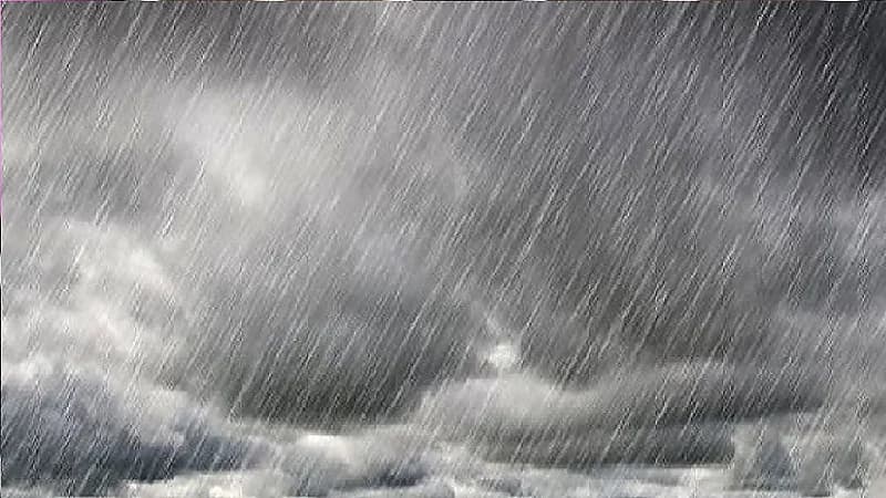 شاهد..ممثل شهير يحتفل بعيد ميلاده بقالب حلوى من الدولارات