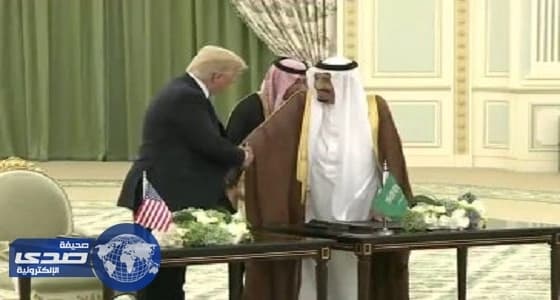 بالفيديو.. رجل يقدم الطعام للقطط قبل ذهابه لصلاة الفجر