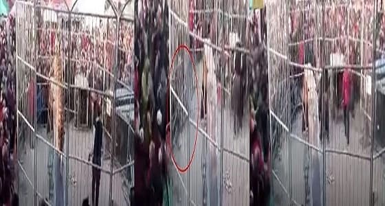 بالفيديو.. نمر يهاجم أطفال داخل سيرك