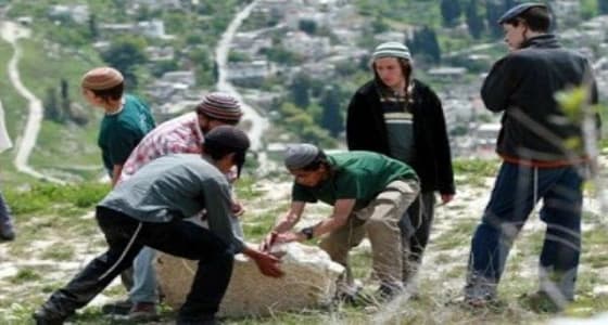 مستوطنون ينهالون ضربا على مواطن ويفروا هاربين