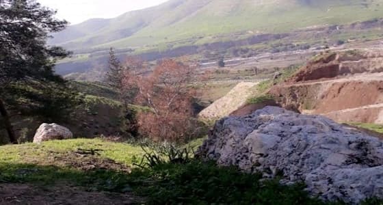 بالصور.. سكان المملكة يتوافدون على " الأردن " للاستمتاع بأجوائها الربيعية