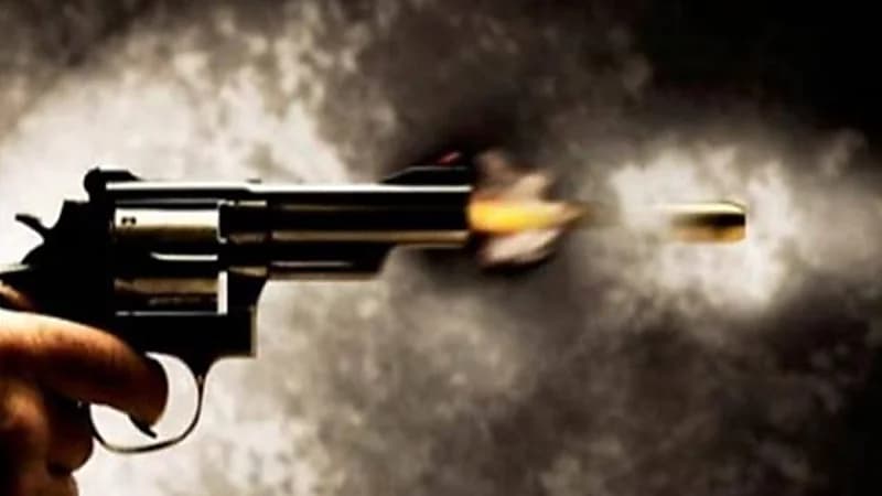 إطلاق نار ينهي حياة فنان إيراني بارز في حفل خاص