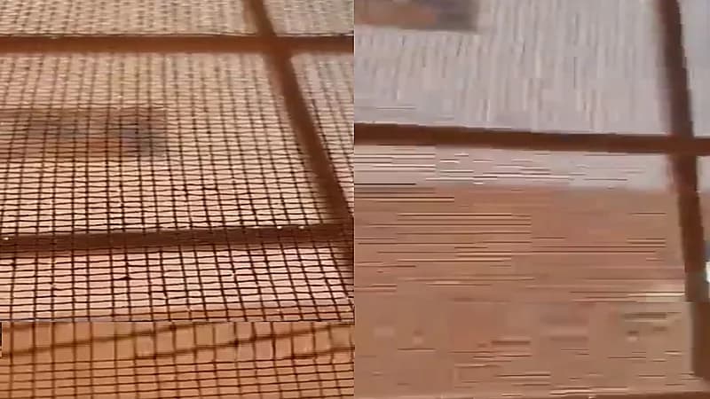 شاهد.. زوج يعنف زوجته بالدمام والجيران يوثقون صرخاتها