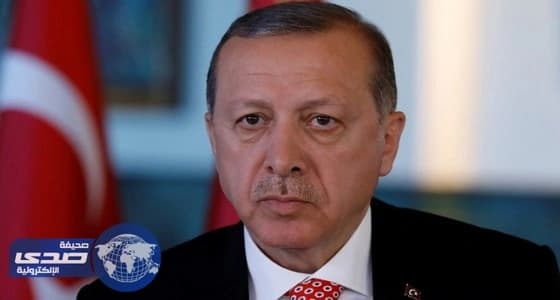 جولة خليجية لأردوغان الشهر الجاري